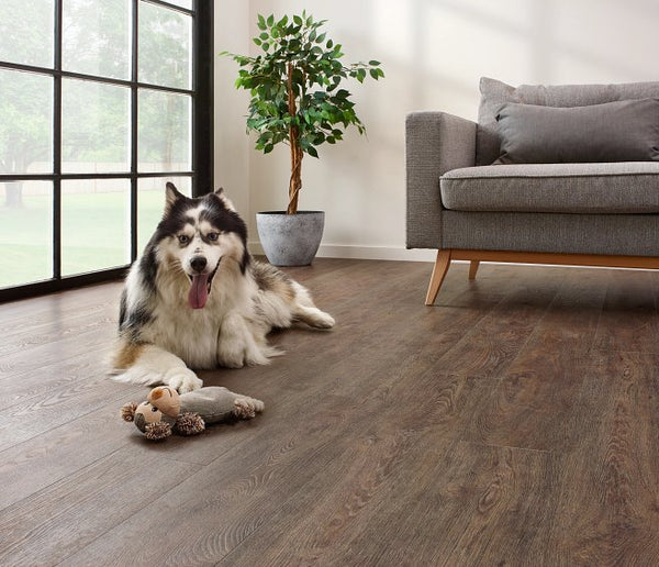 Coretec The Essentials Jasper Oak 01 50 LVR 9601 Plank Click SPC Flooring