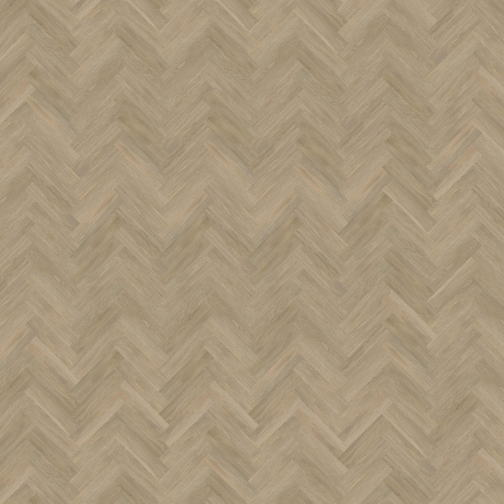 Invictus Maximus New England Oak - Sand Glue Down LVT Flooring