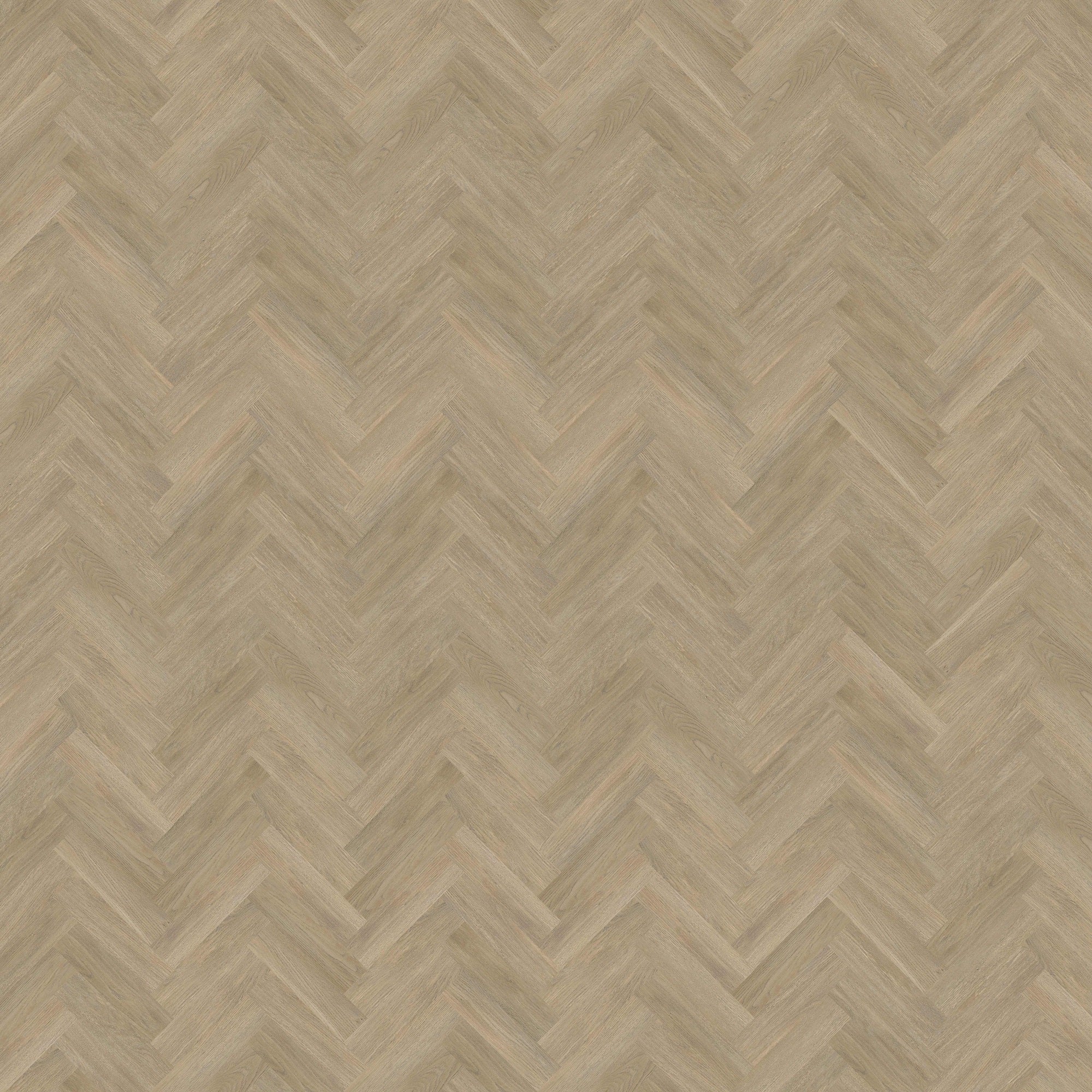 Invictus Maximus New England Oak - Sand Glue Down LVT Flooring