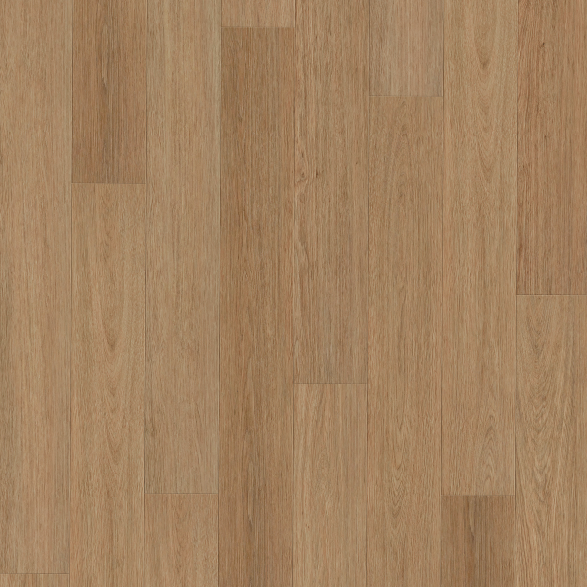 Nordikka Naturals American Oak Plank LVT Glue Down Flooring
