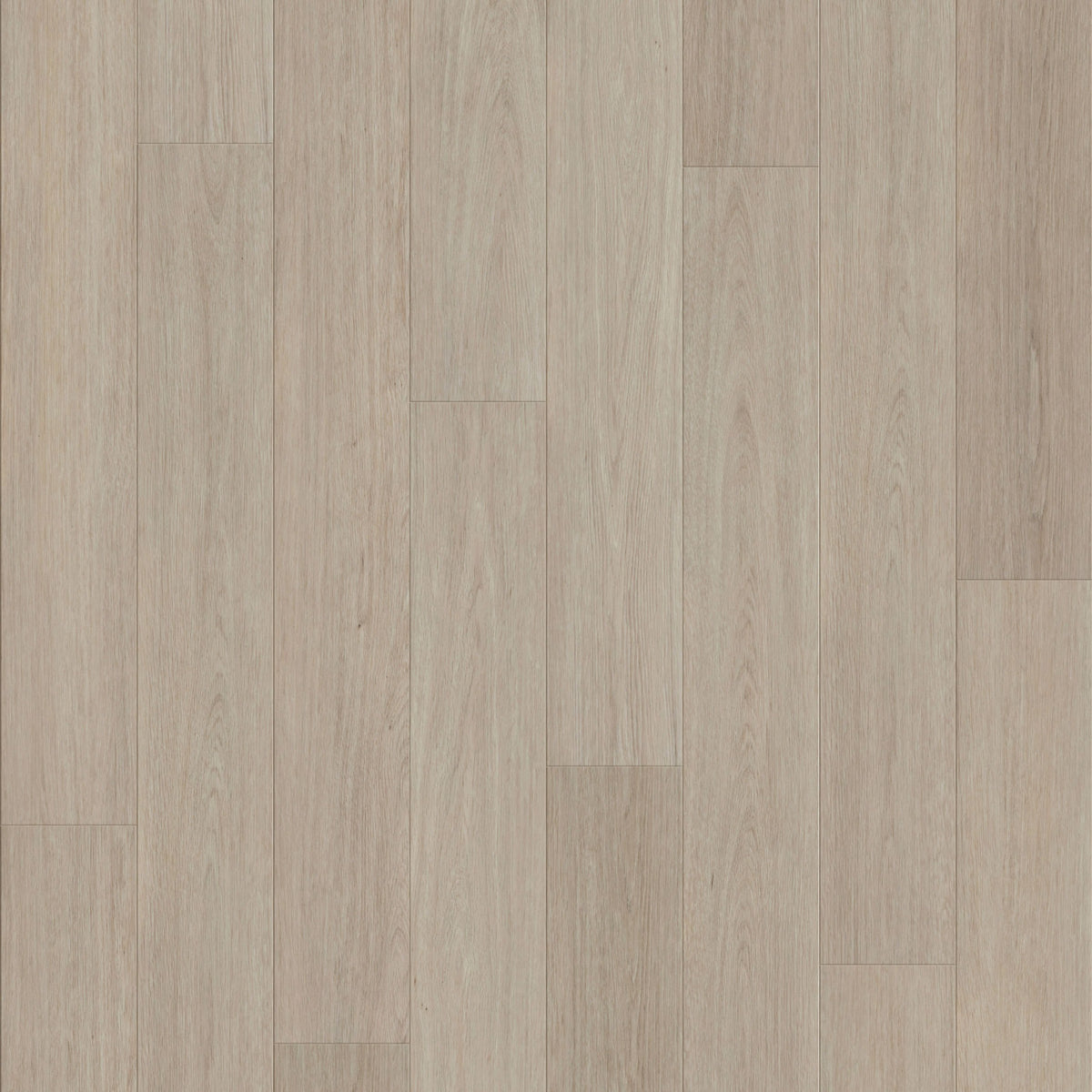 Nordikka Naturals Oregon Ash Plank LVT Glue Down Flooring
