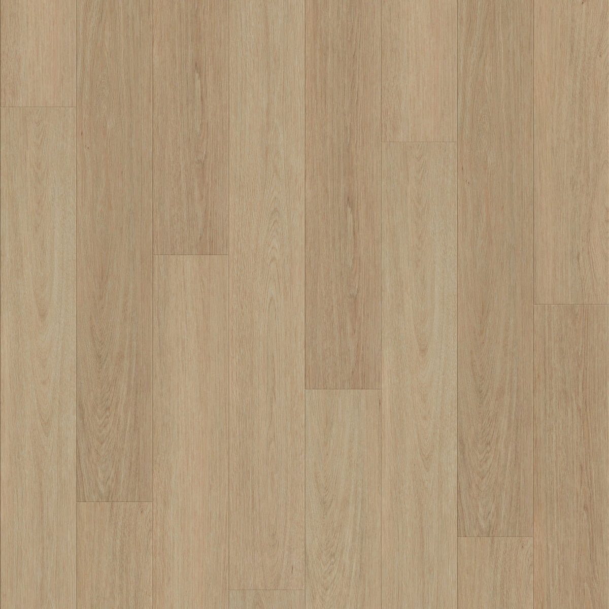 Nordikka Naturals Swiss Larch Plank LVT Glue Down Flooring