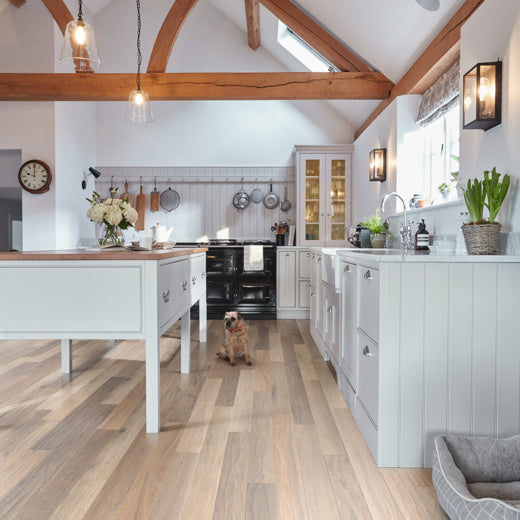 Karndean Art Select Canterbury Ash RL41 Plank Glue Down LVT Flooring