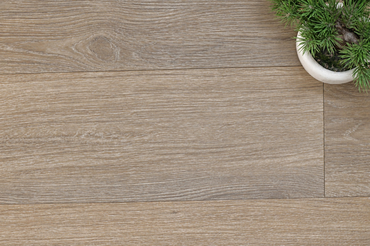 Daytona Cocoa Oak Plank glue down LVT flooring, photo 4