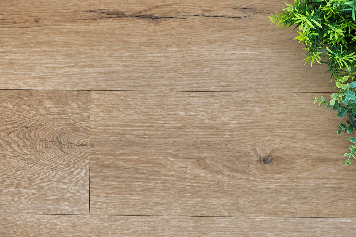 Daytona Manuka Oak Plank Glue Down LVT Flooring