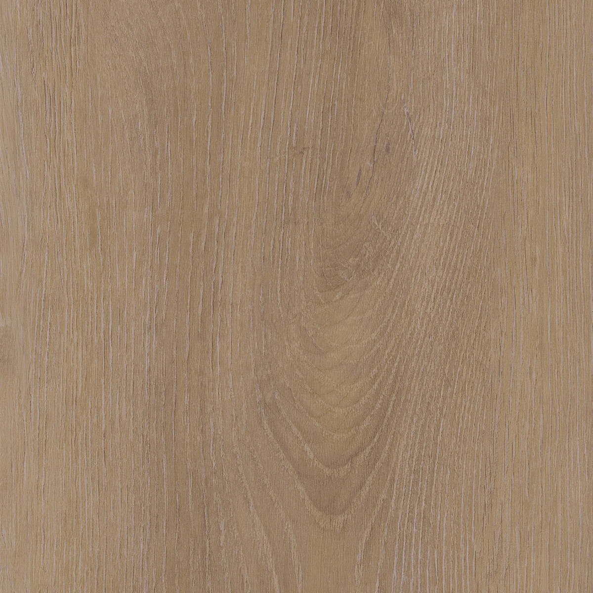 Invictus Maximus Divine Oak Parquet - Natural Glue Down LVT Flooring