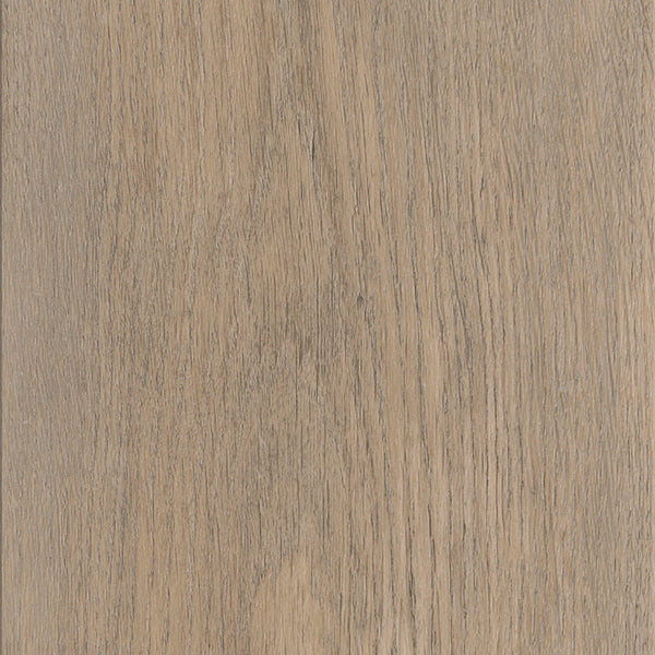 Invictus Maximus New England Oak - Dune Glue Down LVT Flooring