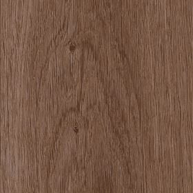 Invictus Maximus Highland Oak - Chocolate Glue Down LVT Flooring
