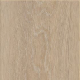 Invictus Maximus Silk Oak - Pearl Glue Down LVT Flooring