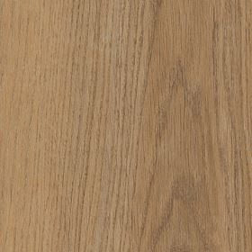 Invictus Primus Sherwood Oak - Truffle Glue Down LVT Flooring