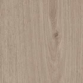 Invictus Primus Sherwood Oak - Shell Glue Down LVT Flooring
